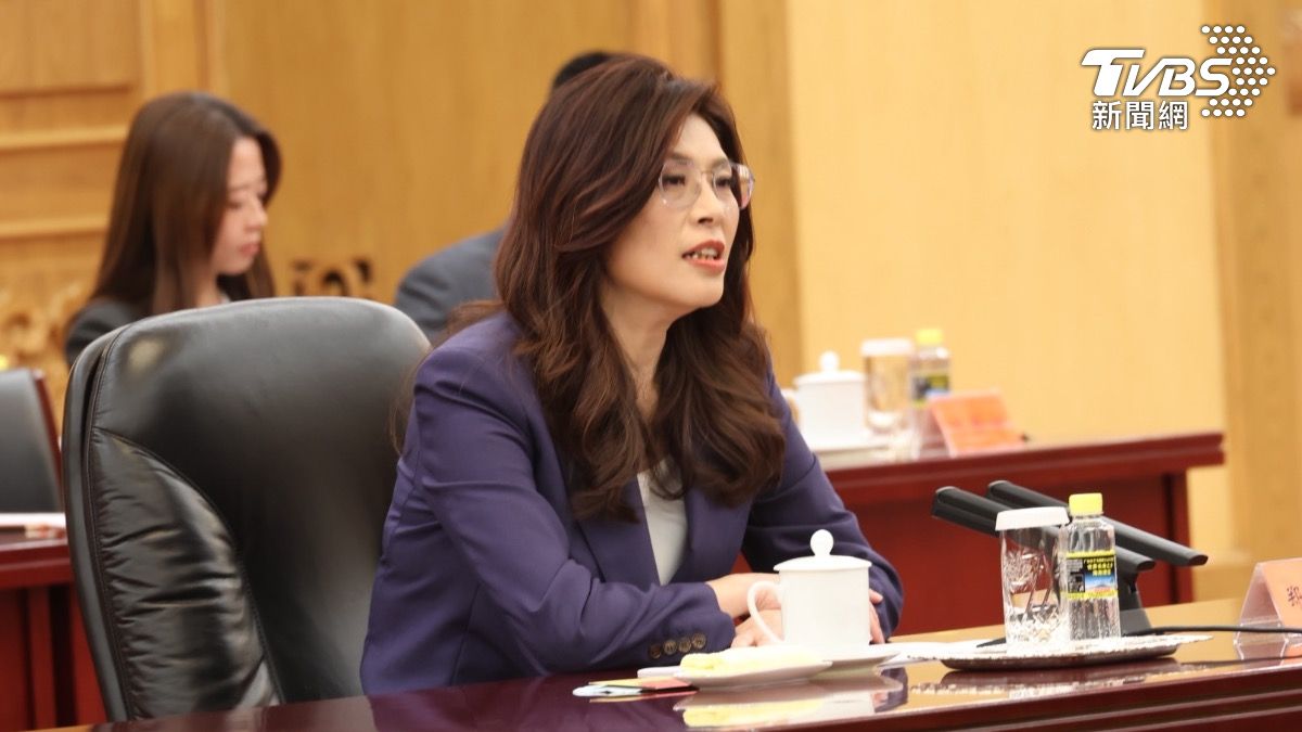 鄭麗文盼兩岸共推和平制度化。(圖/TVBS)
