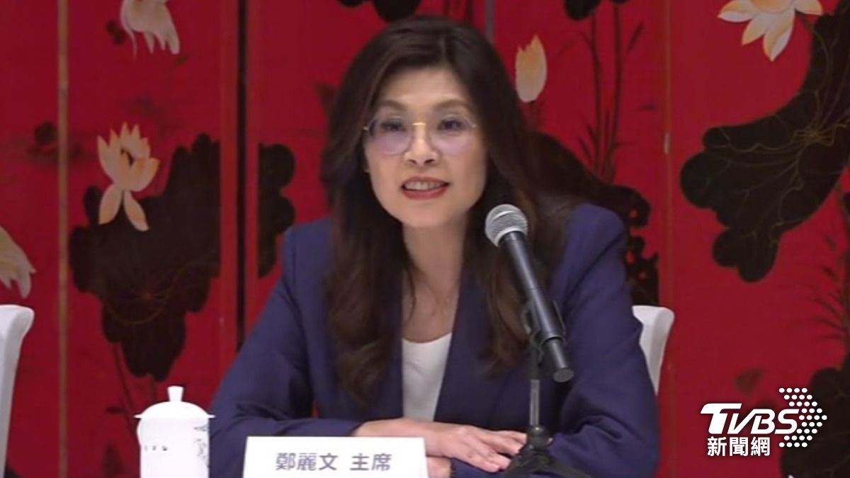 鄭習會（圖／TVBS資料畫面）
