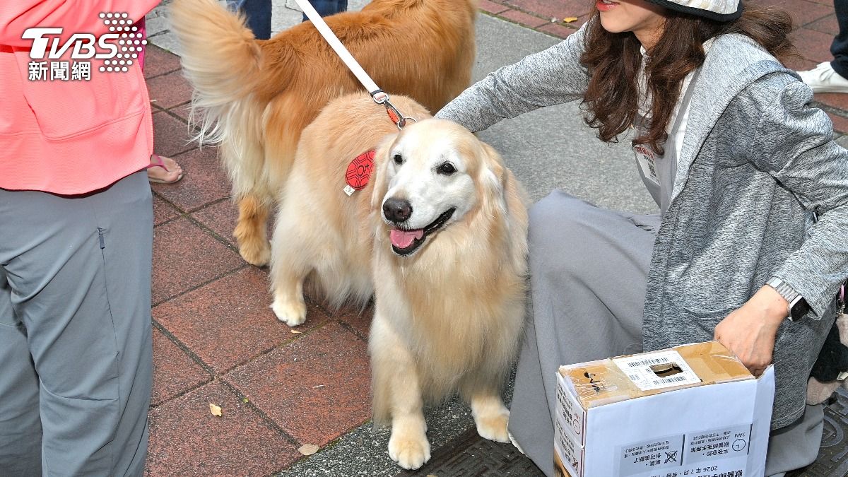 獸醫師和毛孩飼主齊聚動植物防檢署關切寵物用藥新制。(圖/胡瑞麒攝)