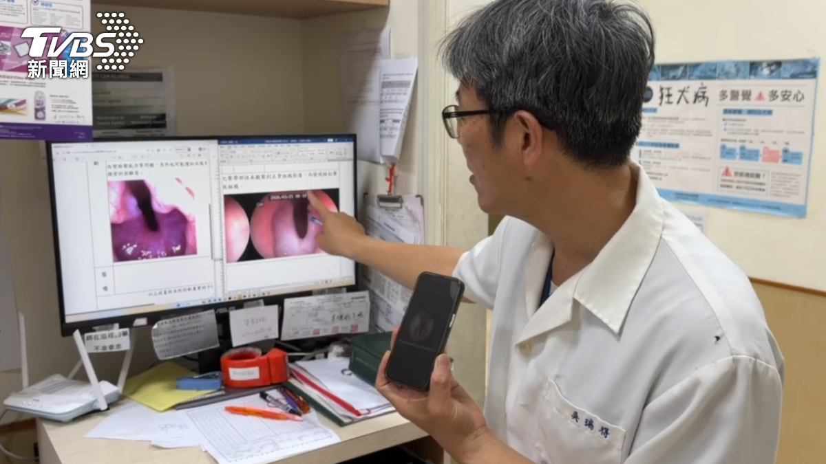 醫師表示犬隻聲帶出現瘢疤，確實有損傷的情況。（圖／TVBS）