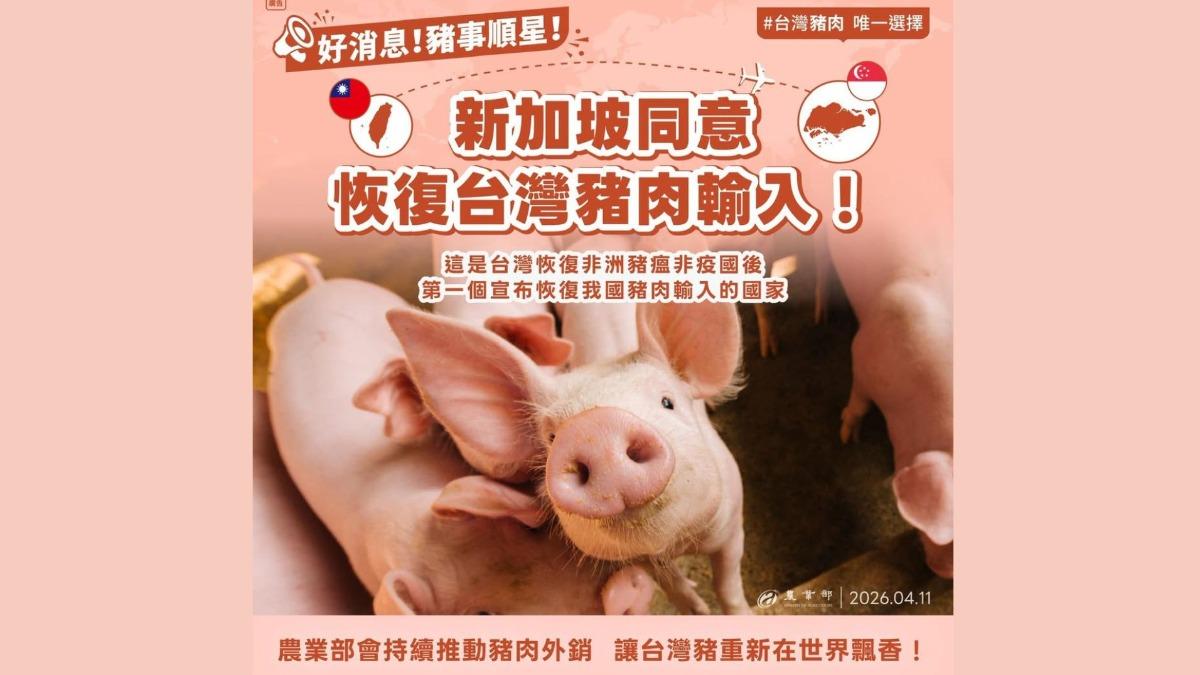 台灣重返非疫國後「豬可以出國了」 新加坡恢復台灣豬肉輸銷