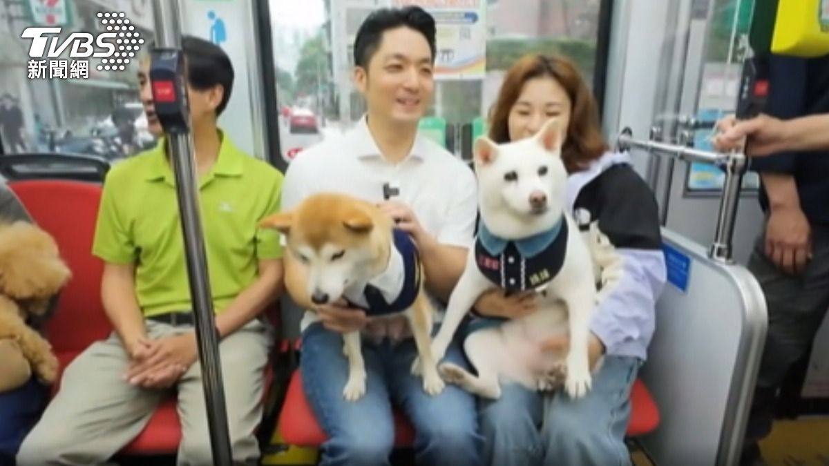 北捷「狗狗友善列車」出發！　上車後免關籠　蔣萬安曝狗派。（圖／TVBS）