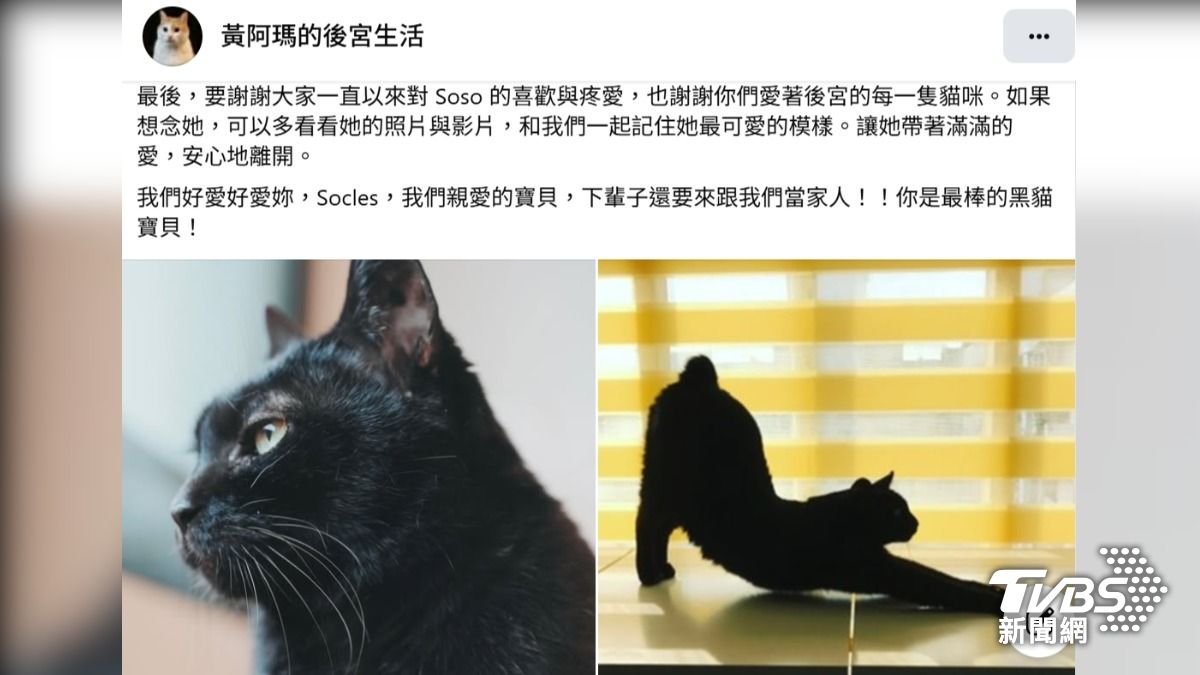 YouTube頻道「黃阿瑪的後宮生活」宣布因為太難過了,社群、影片會先休息一陣子。(圖片來源/黃阿瑪的後宮生活)