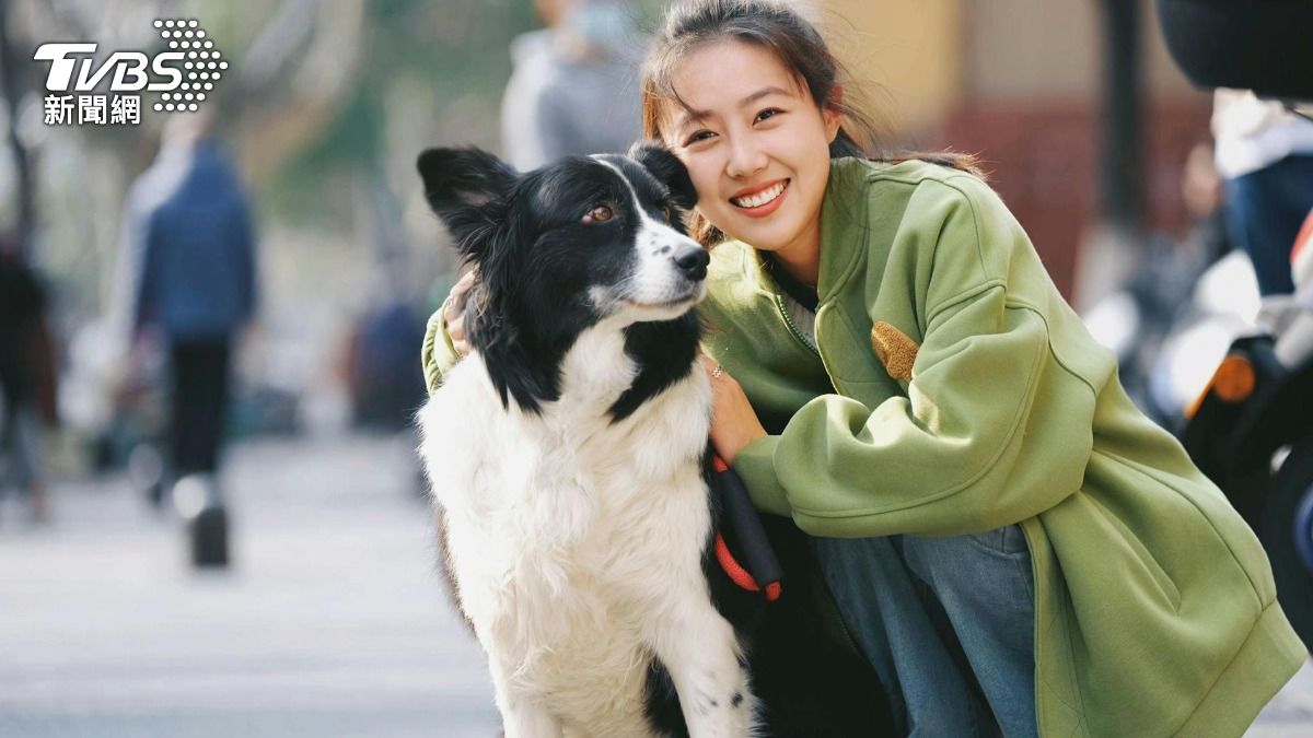 台灣少子化日趨嚴重,寵物貓狗數量突破300萬隻,首度超越全台13歲以下幼童人數。(圖/Pexels.com)