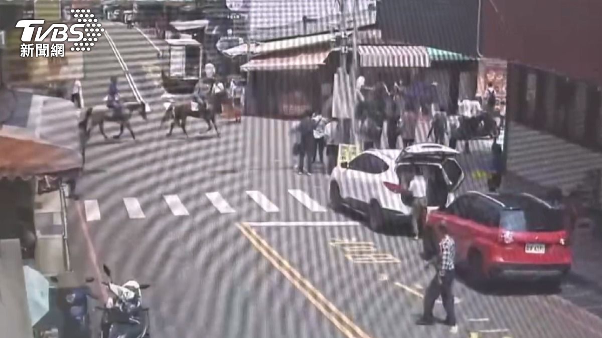 苗栗縣南庄鄉驚現「馬路遇真馬」!機車騎士行經路口時與三匹馬擦身而過。