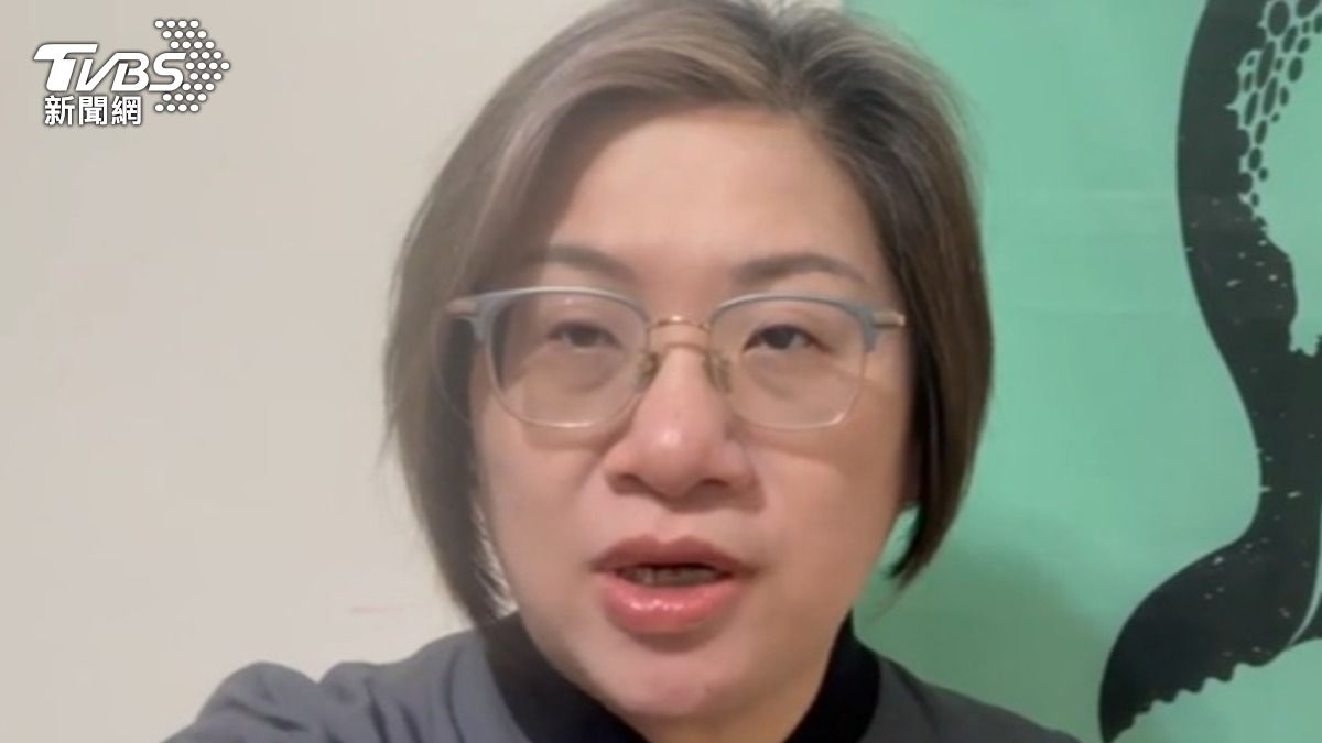 綠委陳培瑜痛批惠台措施是口蜜腹劍,交流全被限縮在中國框架下。(圖/TVBS)