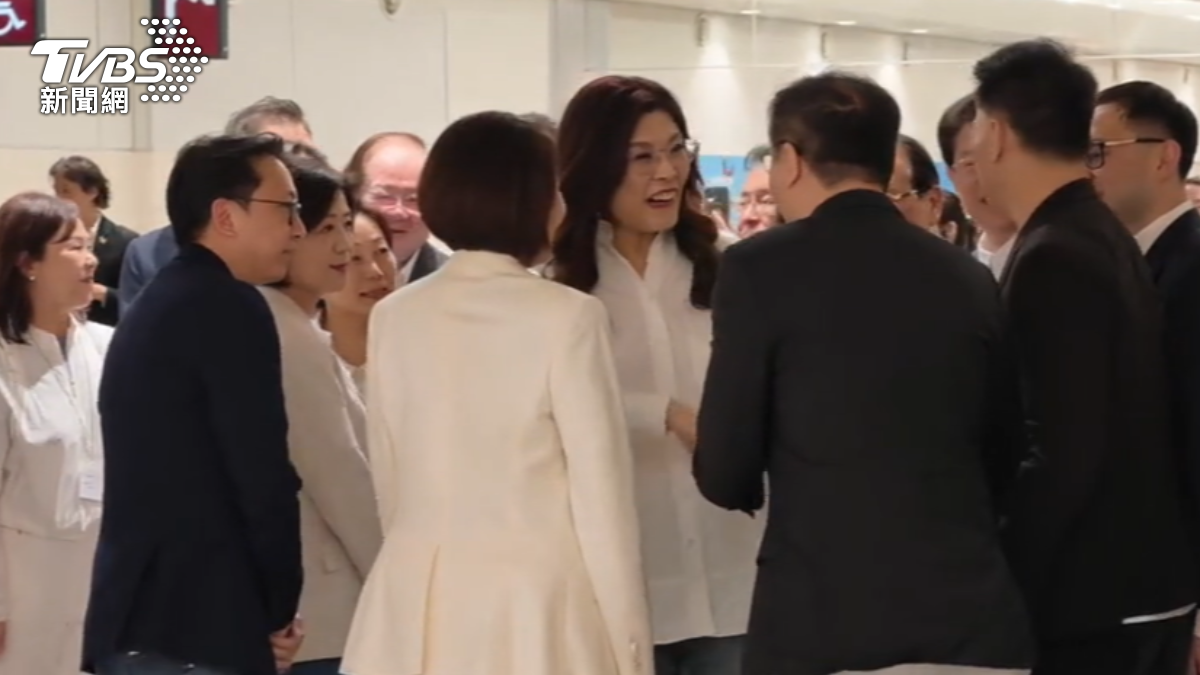 國民黨立委傅崐萁率領多位黨籍立委,前往機場迎接鄭麗文返台。(圖/TVBS)
