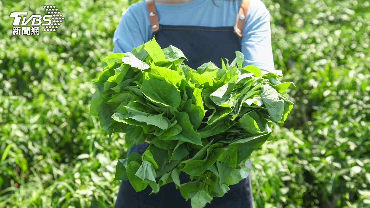 地瓜葉神級吃法！加「1食材」秒變餐廳級　吸240萬人搶看