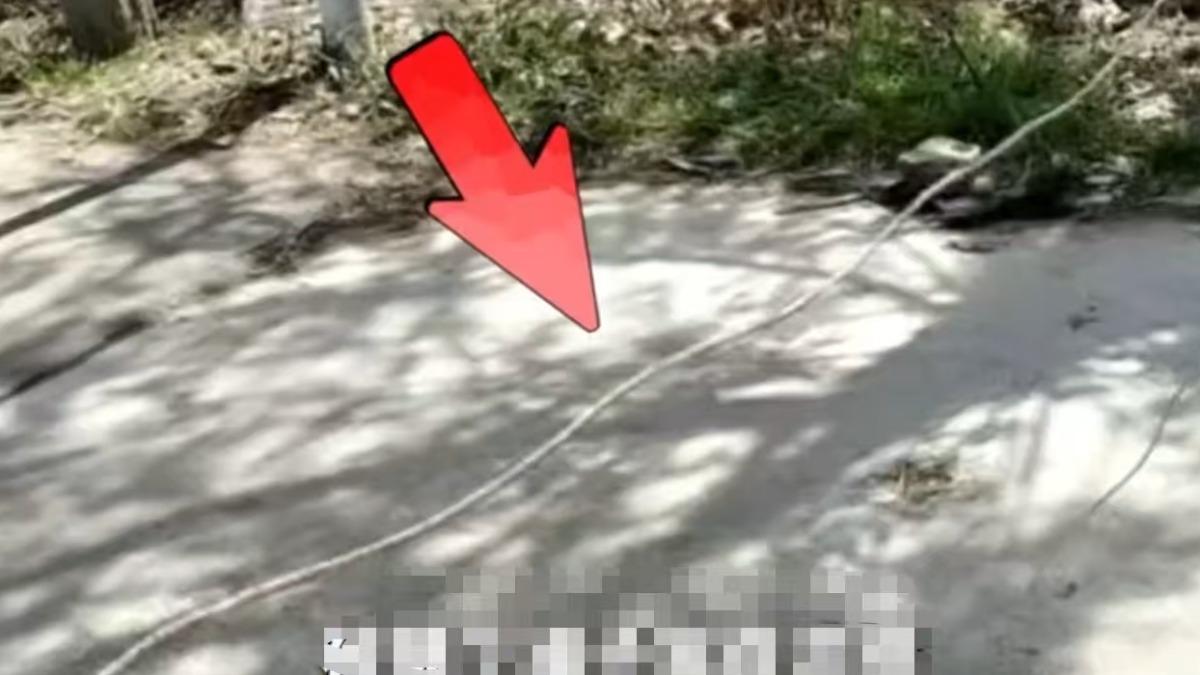 陸13歲男童路上「遭繩勒頸」！氣管、食道破裂　仍在ICU搶救中
