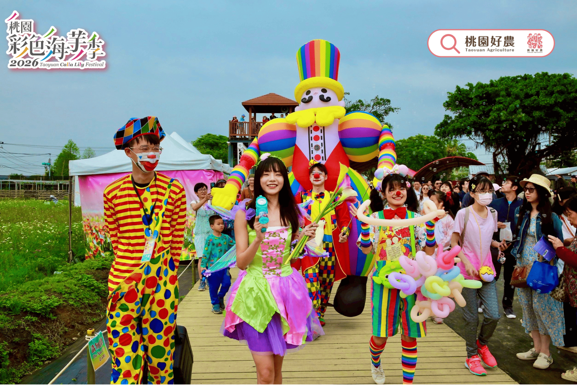 ▲「桃園彩色海芋季」於清明兒童連假4天吸引逾40萬人次入園,帶動地方農業與休閒旅遊發展。(圖片來源:桃園市政府農業局)