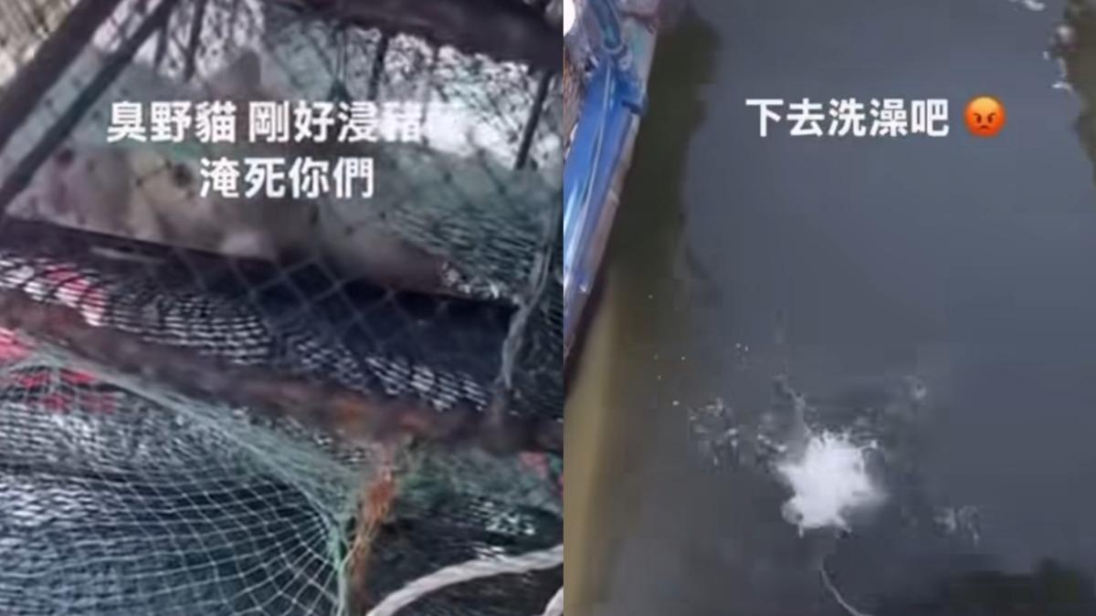 該名男子於限動po出虐貓影片,引發撻伐。(圖/翻攝自邵柏森-虎哥救援大小事臉書)