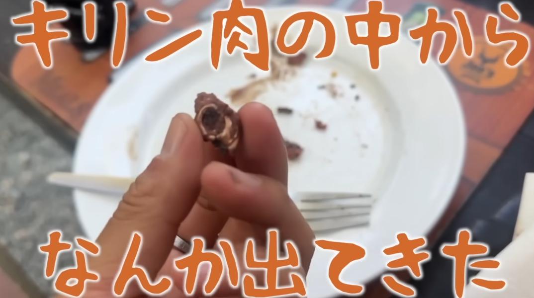 とったび-YouTuber-長頸鹿肉-非洲野味-非洲旅遊-鉛中毒-野味吃到子彈-長頸鹿肉吃到子彈-血鉛濃度-野味子彈