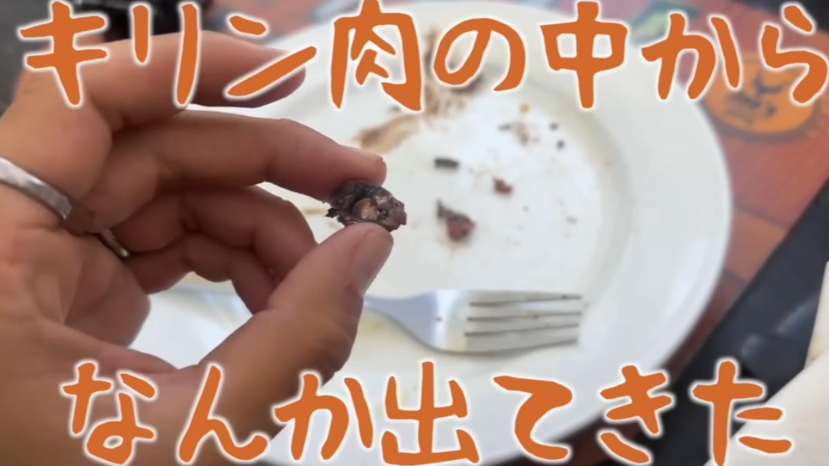 日YTR非洲爽吃長頸鹿!竟「吞到子彈」血鉛狂飆 手腳全麻痺