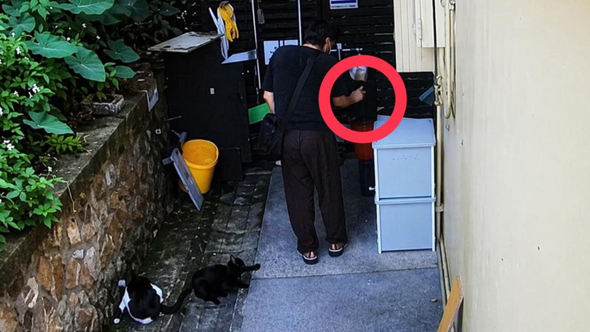 只因「心情不佳」!惡男持辣椒水虐猴硐貓 警48小時火速緝凶