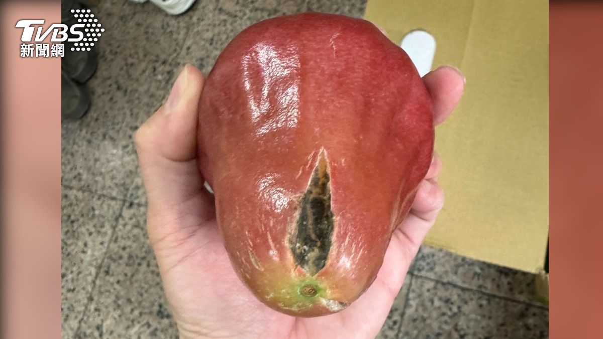 屏東得獎果農賣NG蓮霧,買家開箱見整片黑霉,完全無法食用,讓他相當氣憤。(圖/翻攝Threads@supper_carrie)