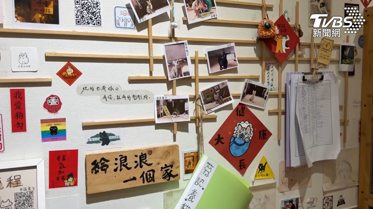 由於當事民眾無法飼養,便透過網路尋找能夠救援貓咪的單位,最後聯繫上一家浪貓驛站咖啡館。(圖/TVBS)