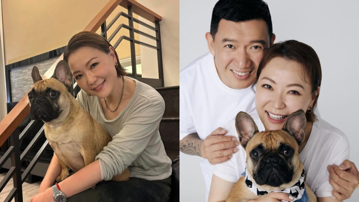 田蕊妮癌症復發!不明低燒確診「肺腺癌」 杜汶澤暖舉曝光