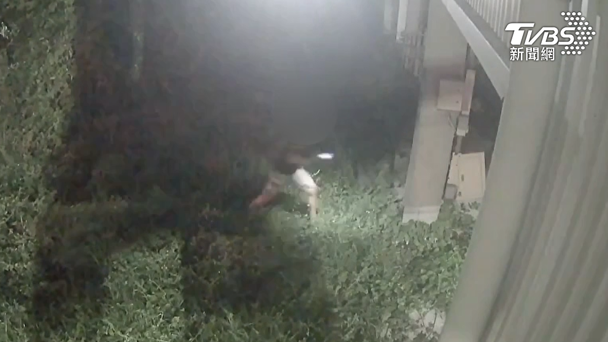 男子跨過雜草堆，一路潛進正在建蓋房子的工地，他鬼鬼崇崇準備要偷竊的行為，早被監視器拍下來了（圖／TVBS）