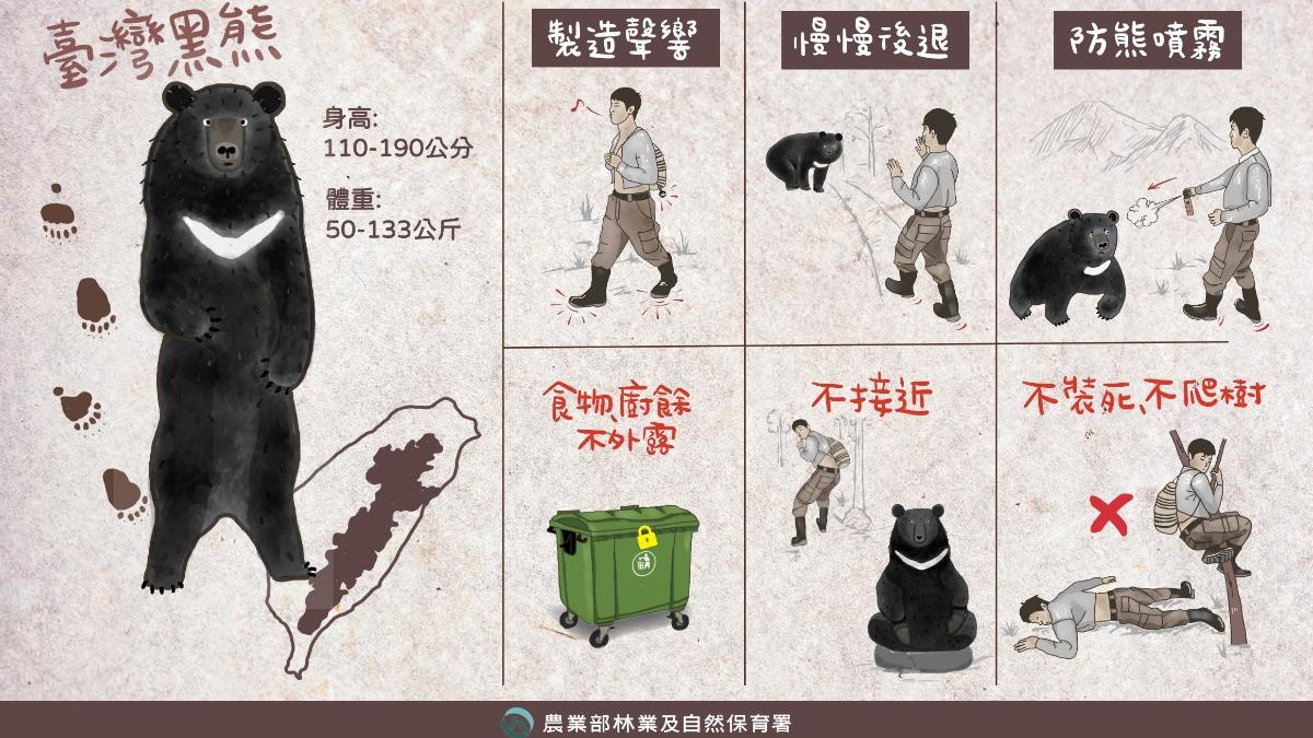 宜蘭100線林道成黑熊熱區,籲攜熊鈴避免衝突。(圖/林保署)