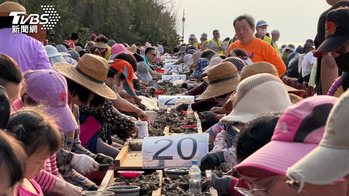 金門千人剝蚵熱鬧登場!百年石蚵產業後繼無人 正悄悄流失