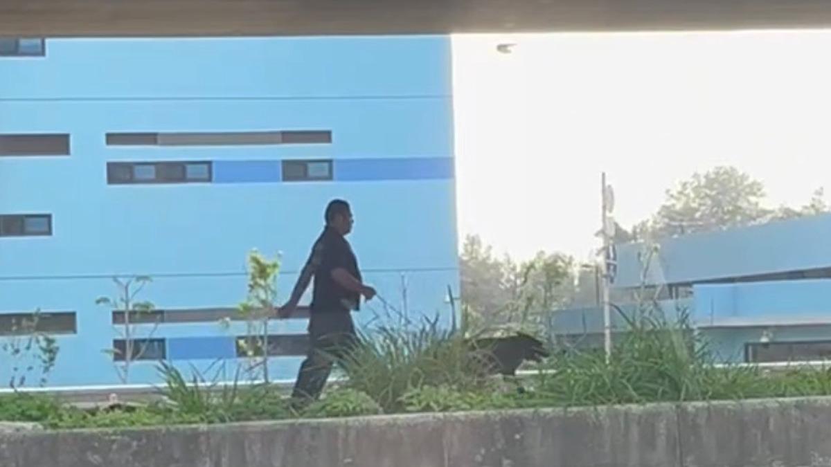一名男子在西濱公路橋下遛狗。（圖／新竹縣流浪動物珍愛協會提供）