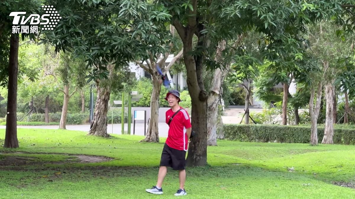 現場直擊有男子短短五秒內，就被兩隻藍鵲兩度攻擊。（圖／TVBS）