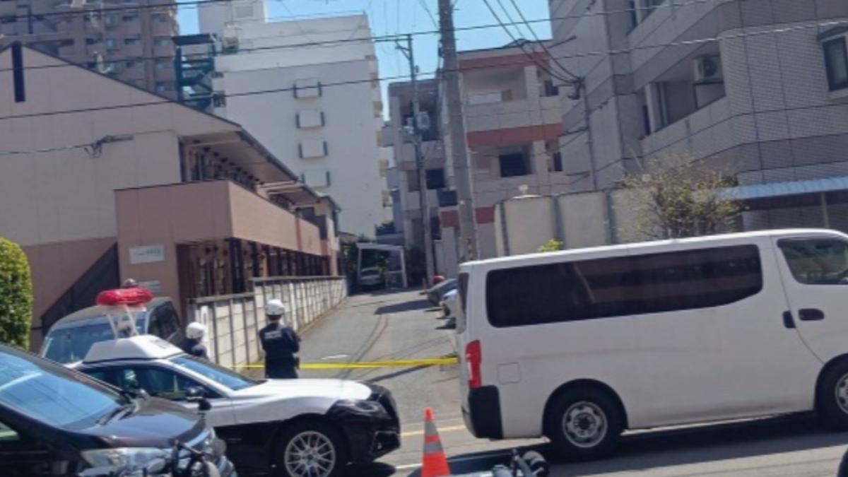 冬眠醒了！日本仙台住宅區驚傳「熊出沒」　警籲附近居民勿外出