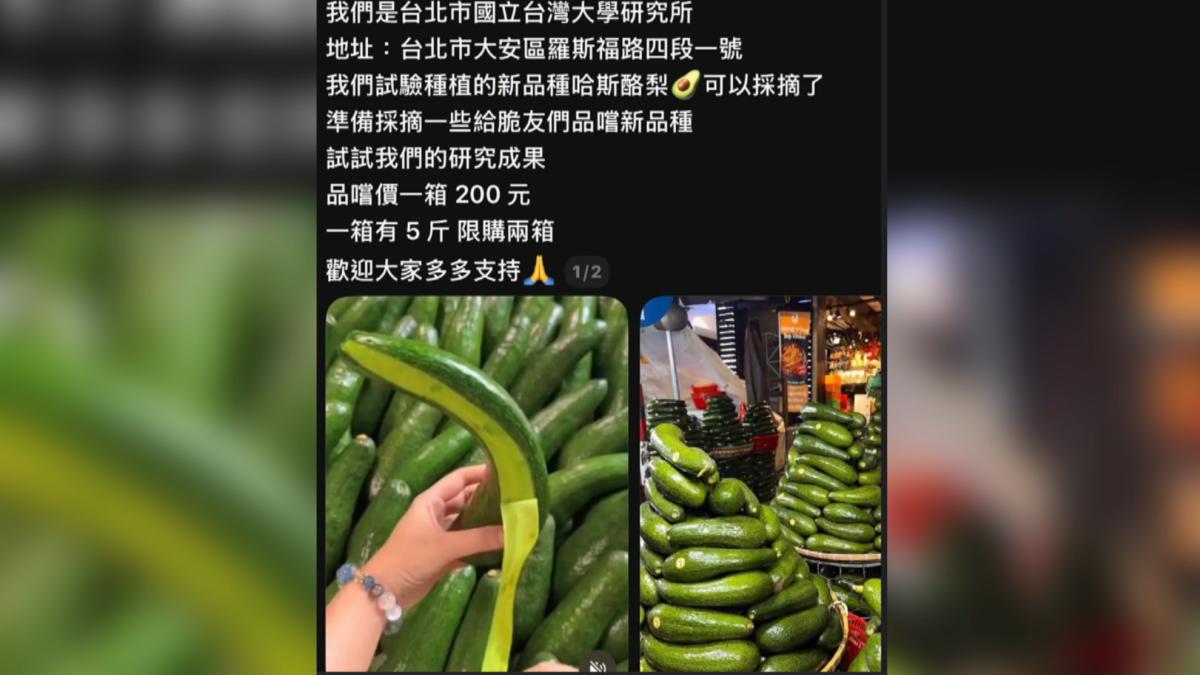 近期網路上出現大量酪梨銷售影片,聲稱是台大研究所研發的新品種,實際上卻是移花接木國外影片的詐騙手法。(圖/翻攝_Threads)