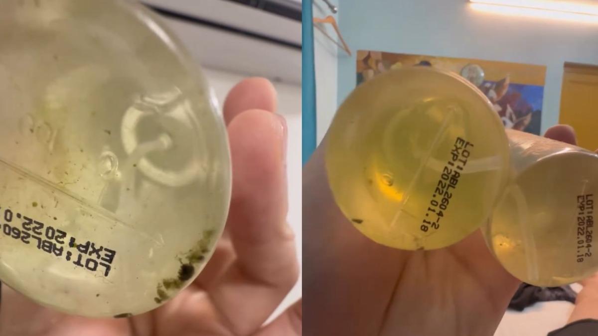 帶恆河水回台「長東西」！台男道歉了　急搭機「倒回印度」