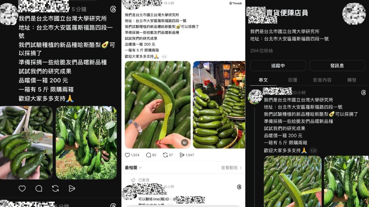小心詐騙!脆上瘋傳台大研究所賣酪梨 農經系:沒賣酪梨、小黃瓜