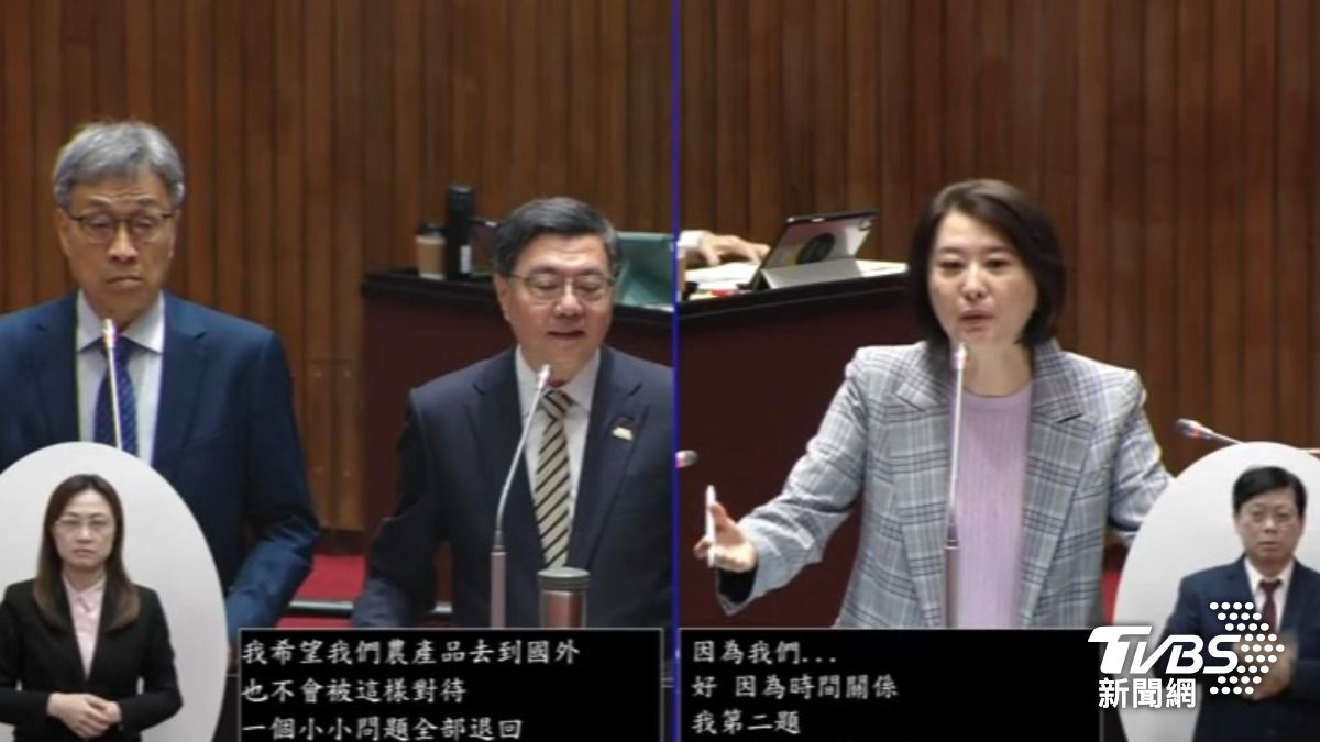 王鴻薇質詢（圖／TVBS資料畫面）