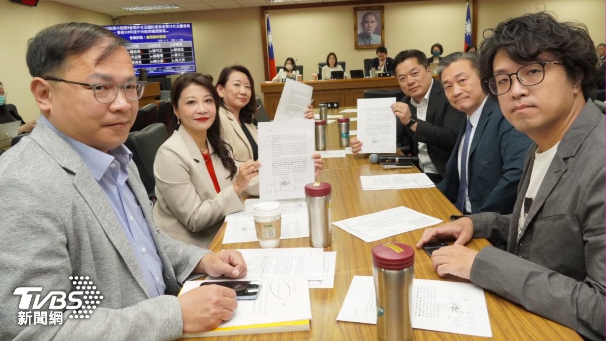 民進黨立委22日在外委會提案譴責中共打壓。(圖/羅美玲辦公室提供)