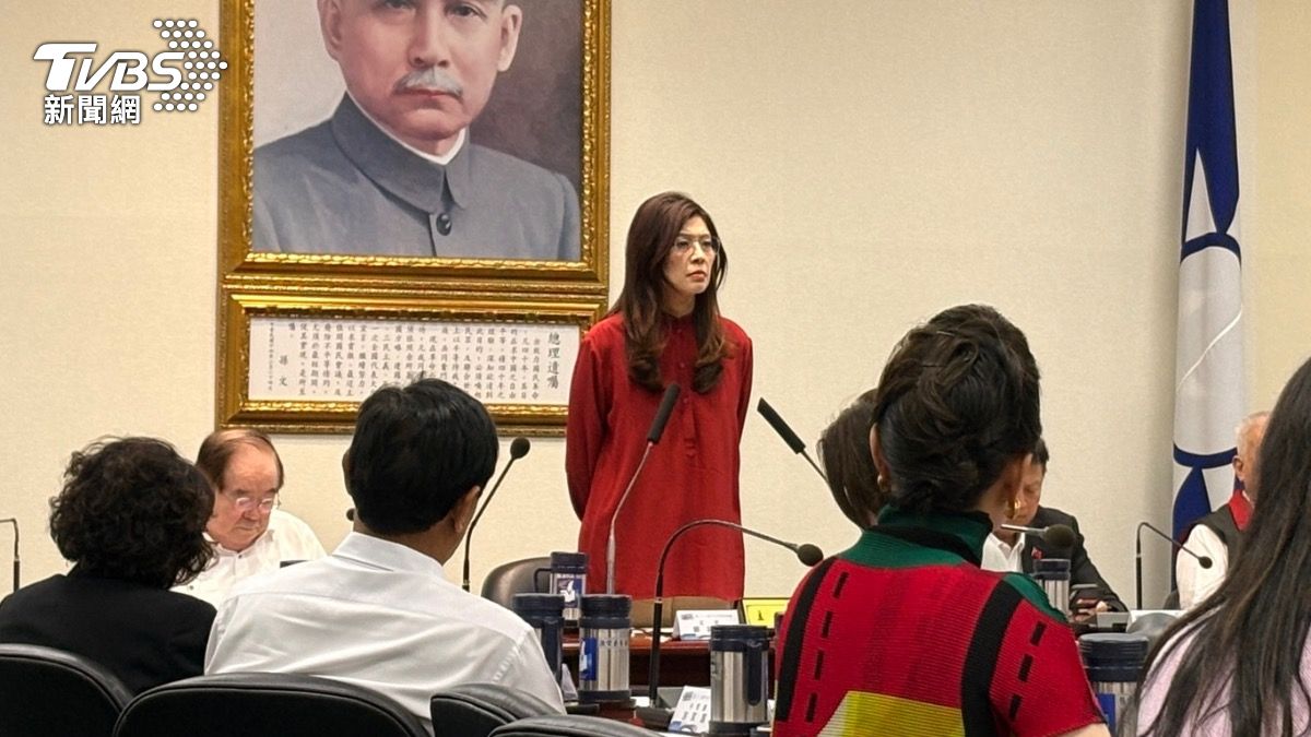 外交部批非洲2國遵守「一中」 鄭麗文:難道我們不是一中憲法?