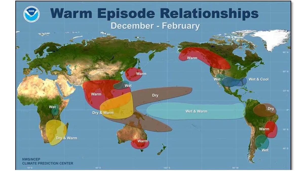 各國氣象預測中心示警,今年聖嬰現象機率高。(圖/NOAA)