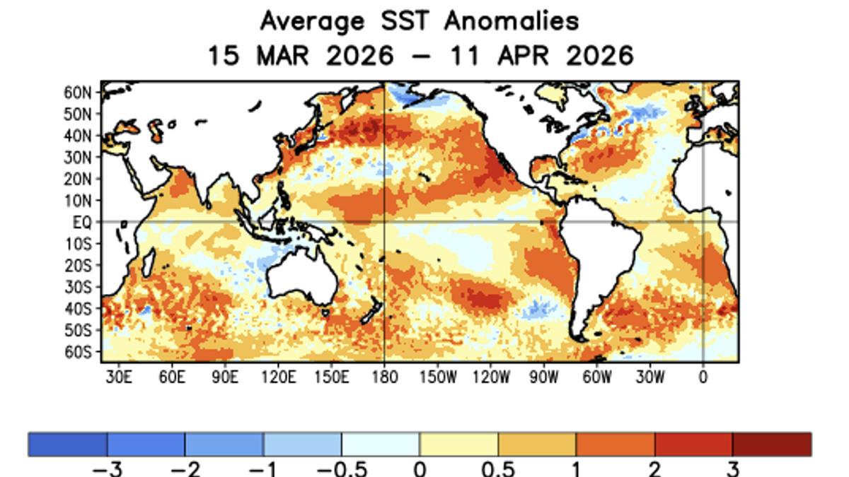 2026年海溫偏高,將影響聖嬰現象。(圖/NOAA)