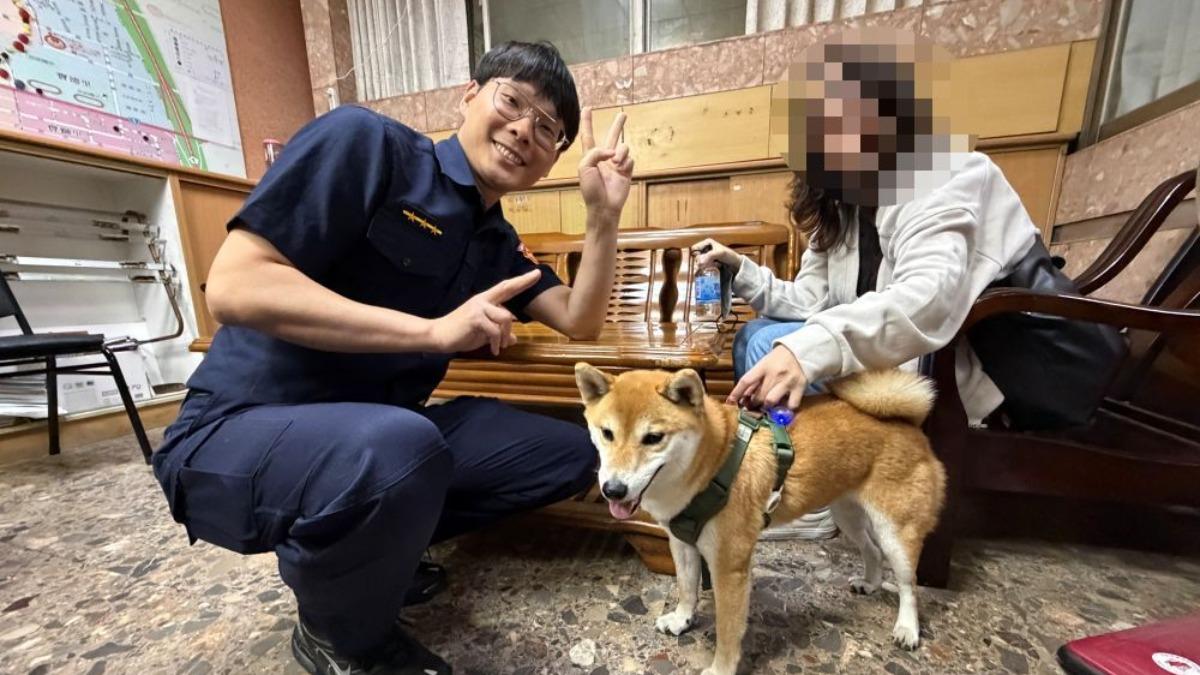 高雄柴犬偷溜迷路不慌張 攔路人「搭便車」去警局找鏟屎官