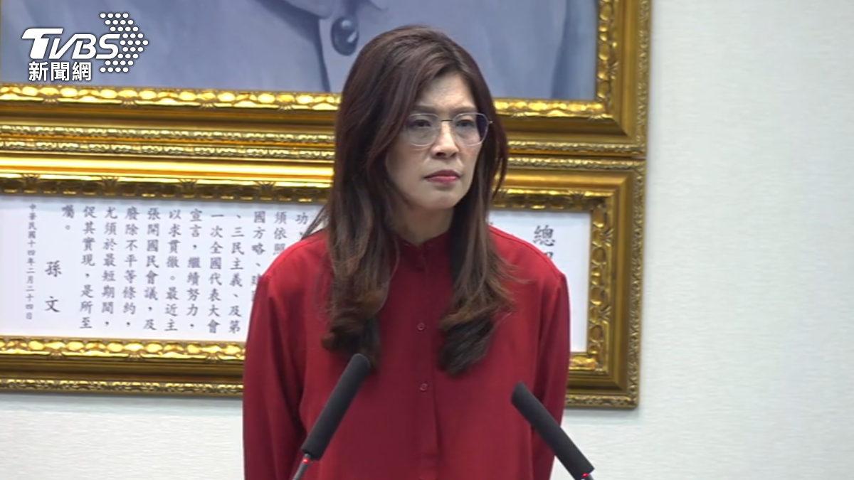 國民黨主席鄭麗文抨擊抗中無法保台，並強調全世界都能接受九二共識。（圖／TVBS）