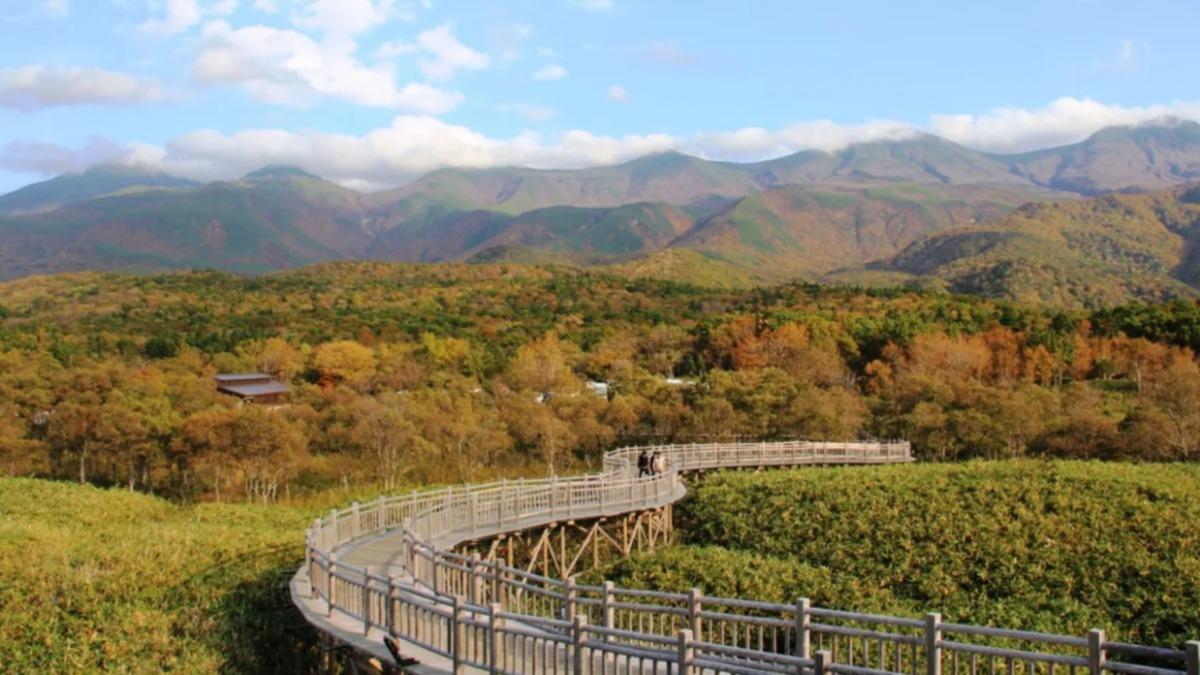 這座半島擁有一種令人屏息的「雙面景觀」。（圖／翻攝自北海道觀光旅遊官網）