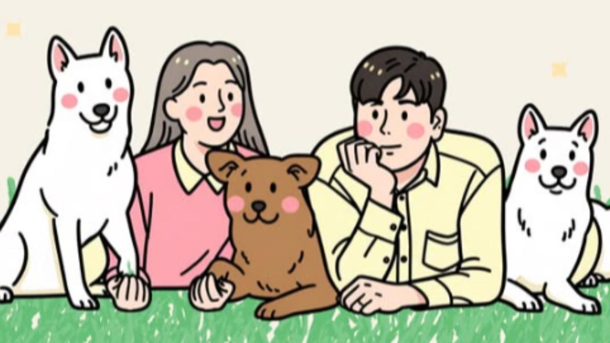 一家五口插畫。(圖/翻攝自joyjoa__jindo IG)
