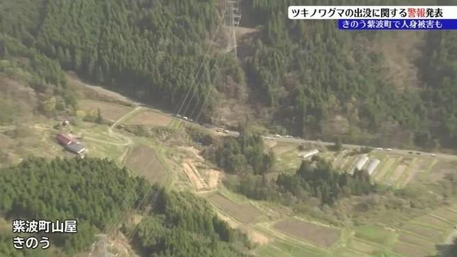岩手縣警方在山溝中發現一具成年女性遺體，不過屍身嚴重缺損，身上還有疑似遭到野熊攻擊的痕跡。（圖／翻攝 TBS News）