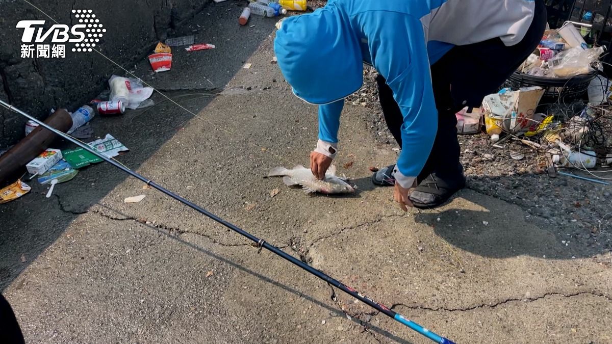 由於海邊突然出現大量鱸魚,消息口耳相傳,釣客越聚越多,人數多達上百人,甚至連平常上班日都比假日還要熱鬧。(圖/TVBS)