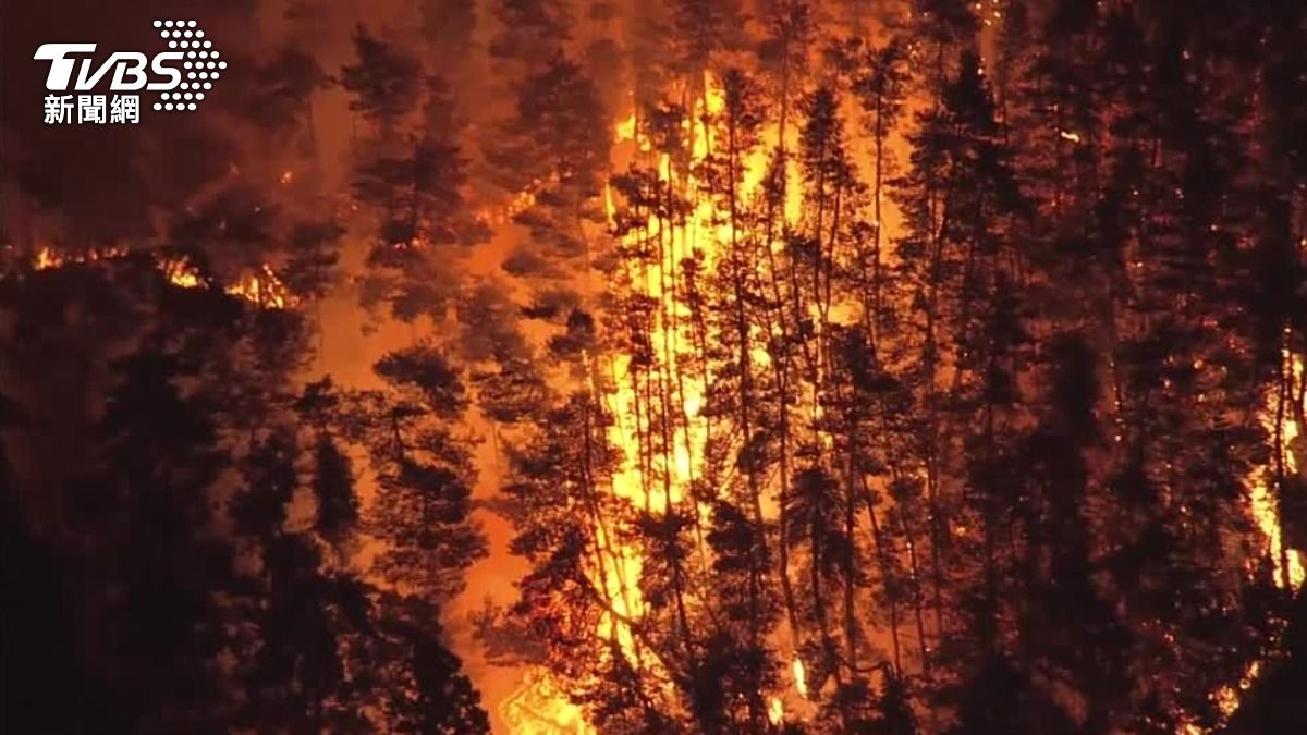 日本岩手縣大槌町爆發森林大火,燃燒面積超過1千公頃。(圖/達志影像路透社)