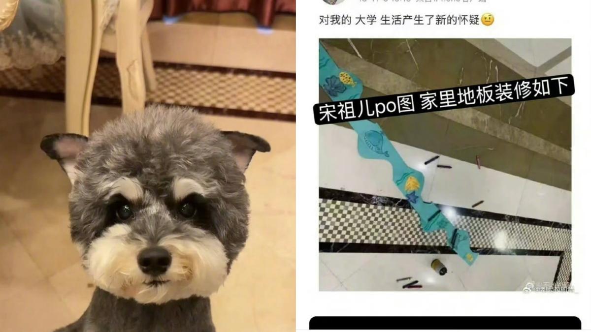 網友指出劉宇寧、宋祖兒有同款地板。(圖/翻攝自微博)