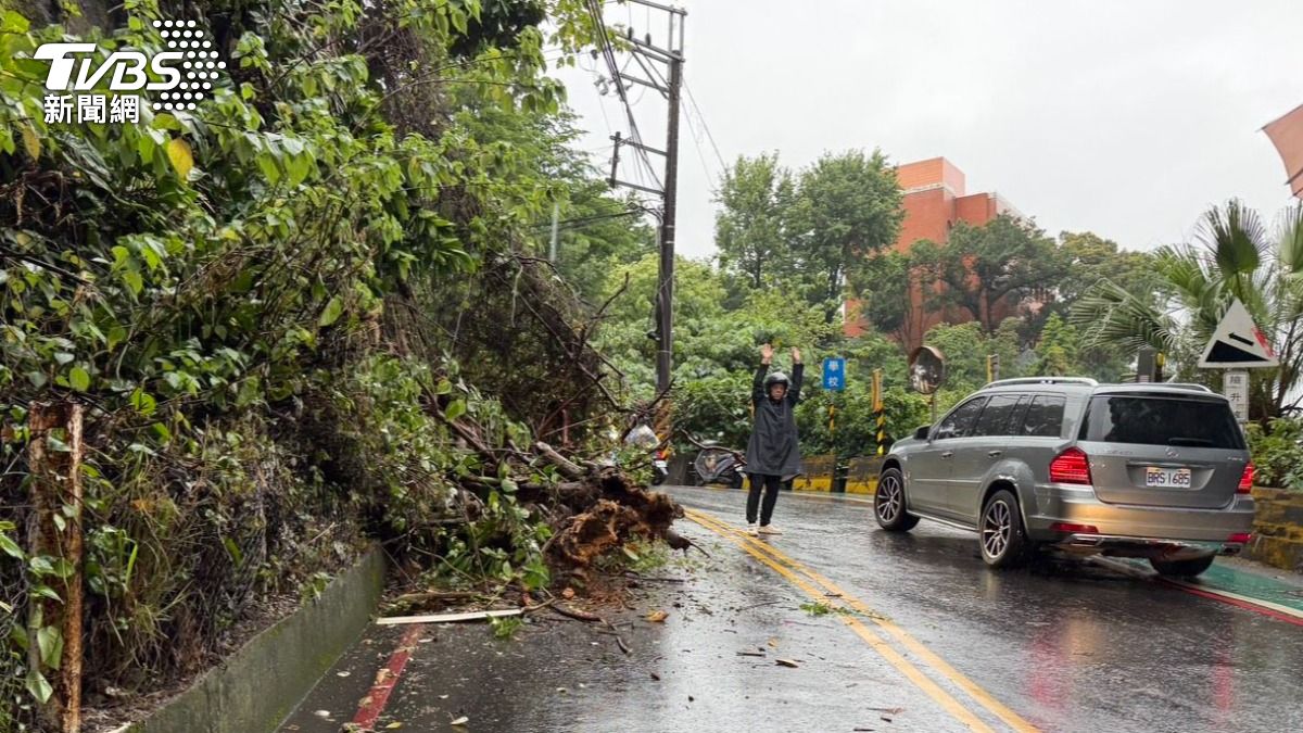 快訊/雨彈襲!淡水民族路邊坡坍方 路樹倒塌占據車道