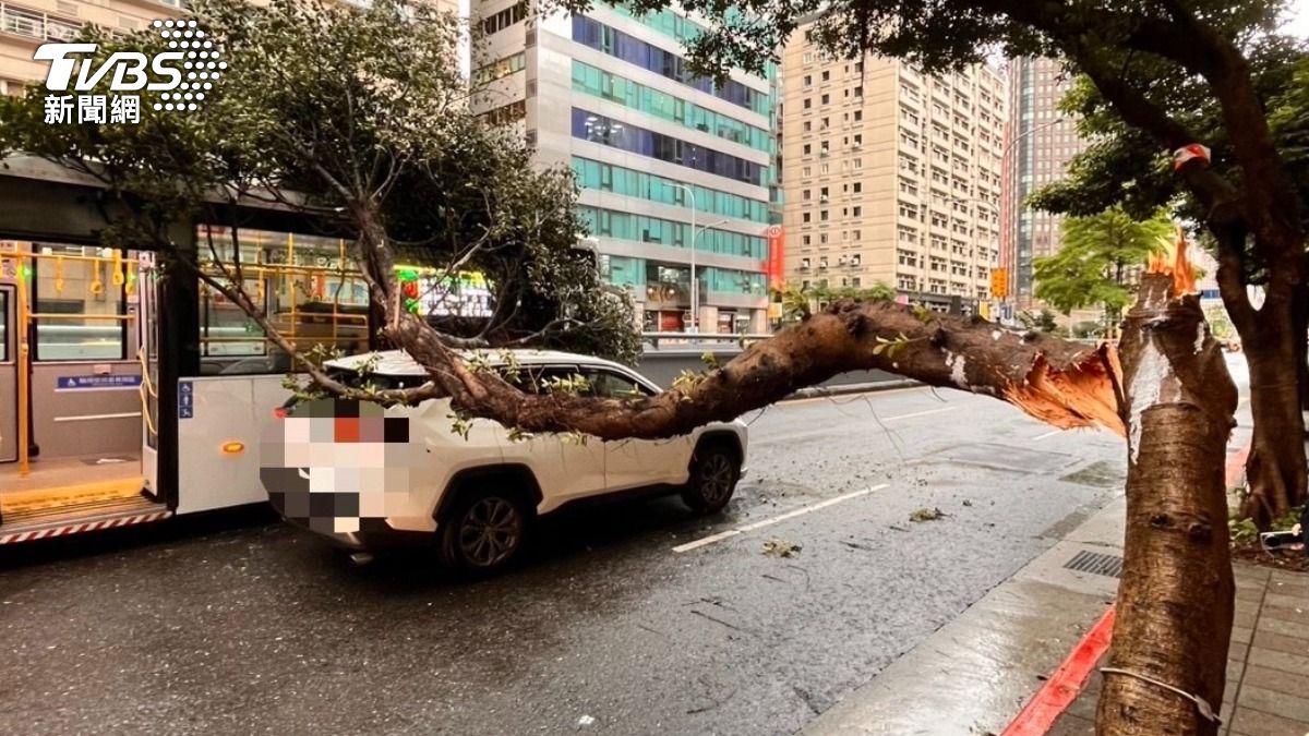 快訊／信義區貨車撞斷路樹　路過公車、汽車遭重砸畫面曝