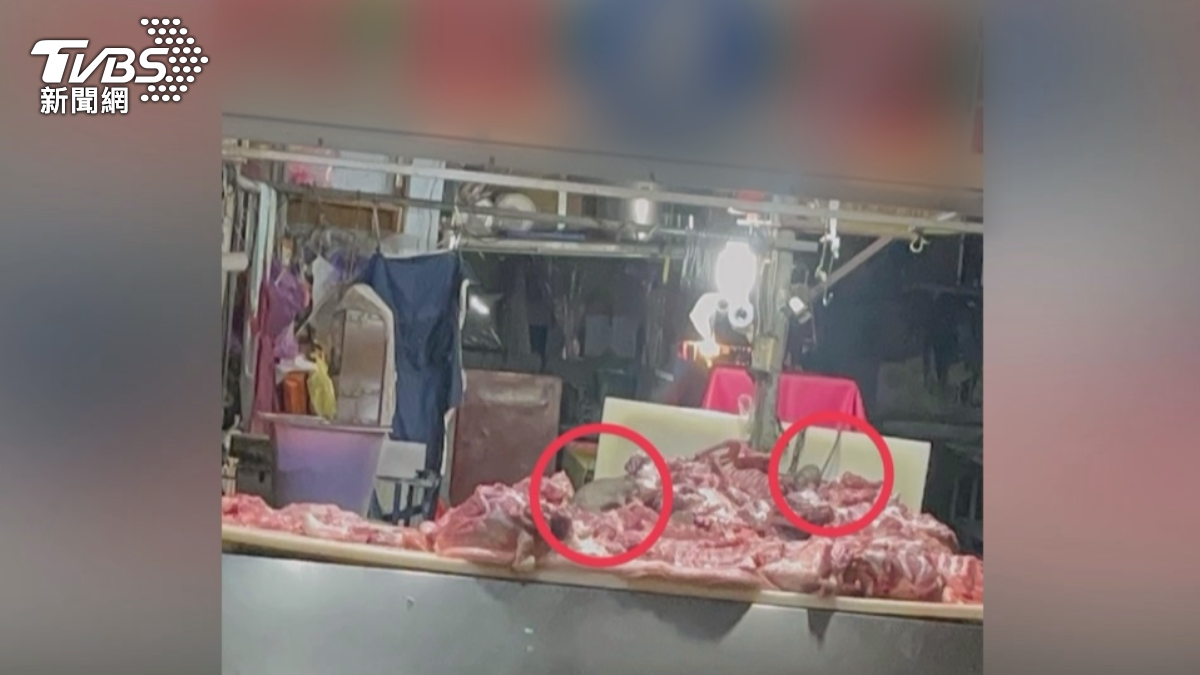 高雄鳳山一間傳統市場爆出食安危機，有民眾半夜拍下，有米奇夜襲到攤位上大啖生豬肉，衛生局要求市場24小時內改善。（圖／民眾提供）