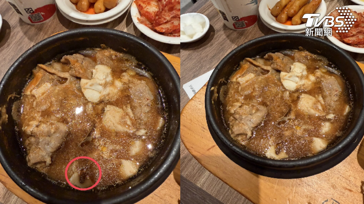 連鎖豆腐鍋撈出「熟透蟑螂屍」顧客傻眼 店員回:不小心的
