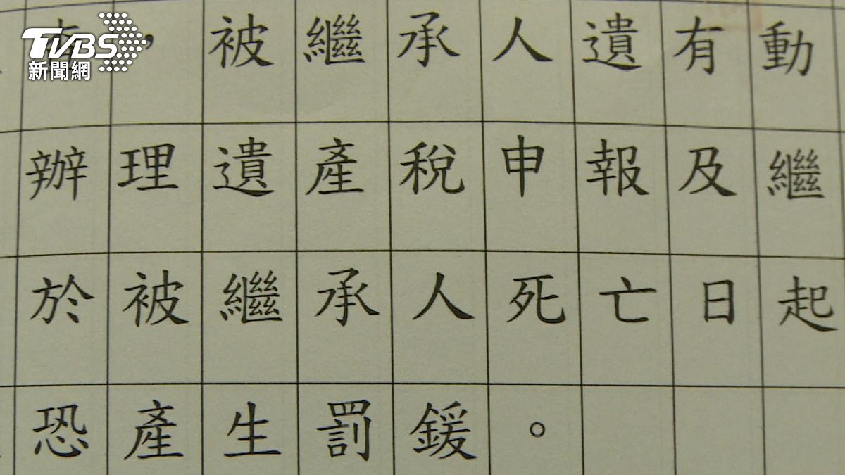 超高齡與頂客族社會的制度挑戰。（圖／TVBS）