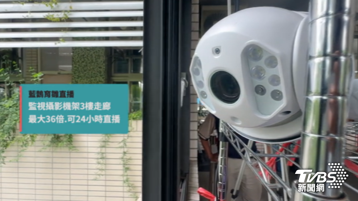 校方架鏡頭24小時直播。（圖／TVBS）
