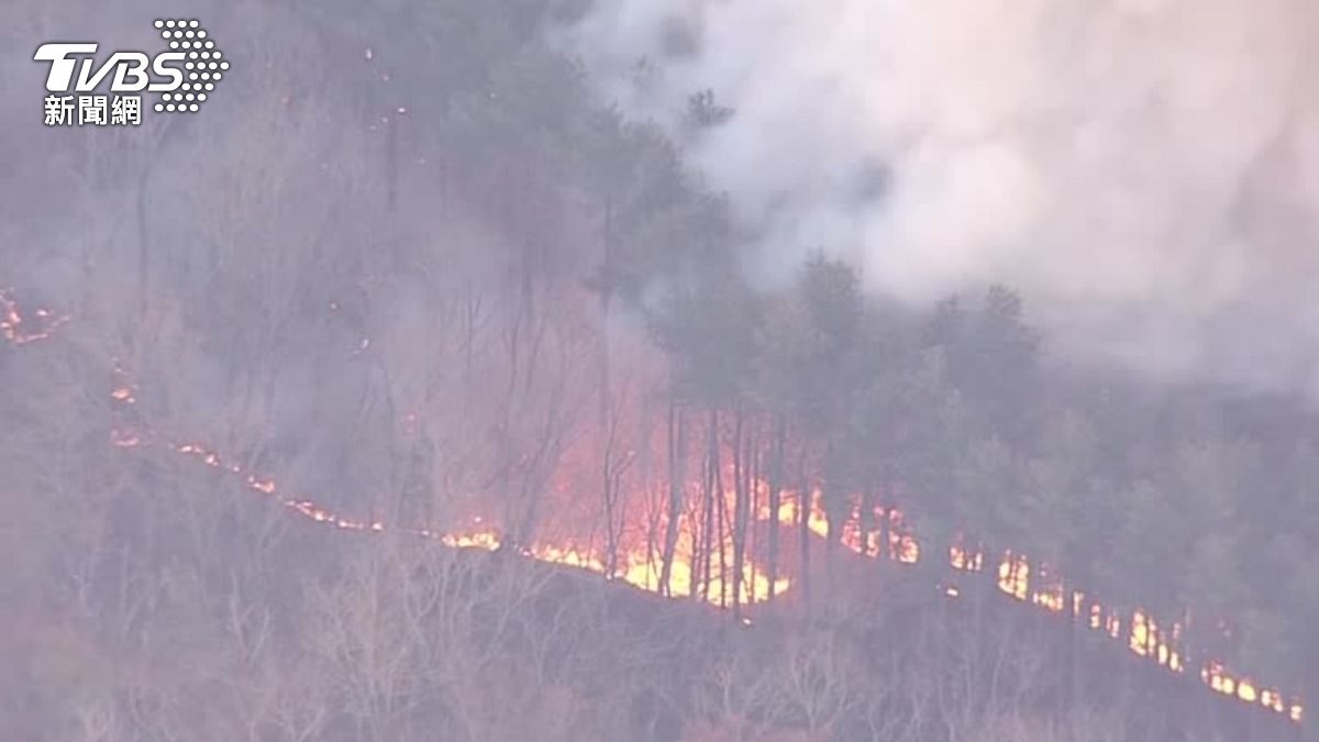 日本岩手縣爆發山火。（圖／達志影像路透社）